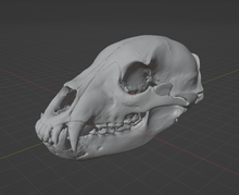 Load image into Gallery viewer, Black Bear Skull (STL) Non-Commercial License