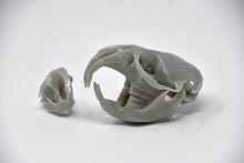 Load image into Gallery viewer, Muskrat Skull (STL) Commercial License