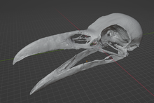 Load image into Gallery viewer, Raven Skull Corvus (STL) Commercial License