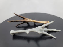 Load image into Gallery viewer, Chicken Foot (STL) Non Commercial License