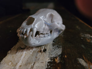 Black Bear Skull (STL) Non-Commercial License