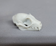 Load image into Gallery viewer, Bat Skull (STL) Non-Commercial License