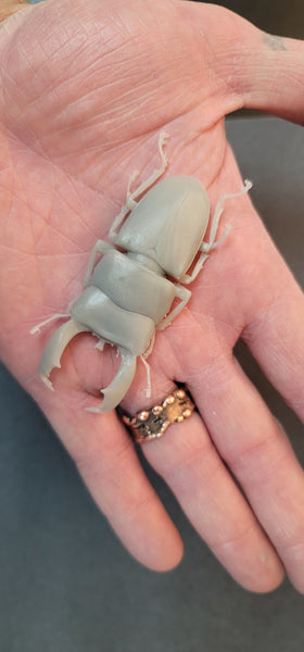 Product from First Density Material - high-quality default