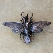Load image into Gallery viewer, Copper Bovidae Cicadidae  6 inchs wide Wall Hang