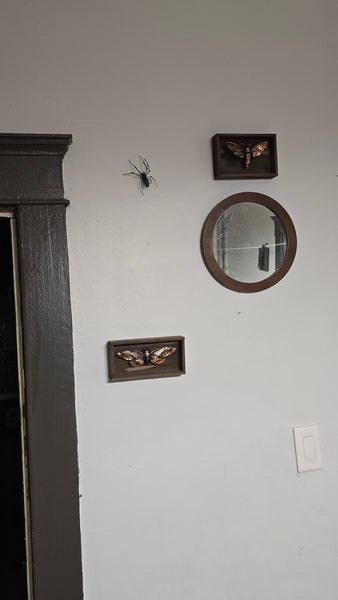 Nephila Spider (STL) Commercial License
