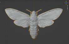 Load image into Gallery viewer, Death&#39;s-head hawkmoth Commercial License STL