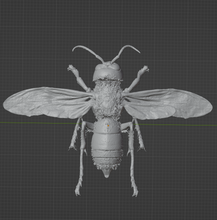 Load image into Gallery viewer, Product from First Density Material - high-quality default