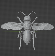 Load image into Gallery viewer, (Murder Hornet) Vespa mandarinia Commercial License STL (Copy)