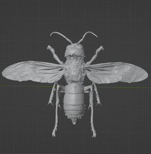 Product from First Density Material - high-quality default