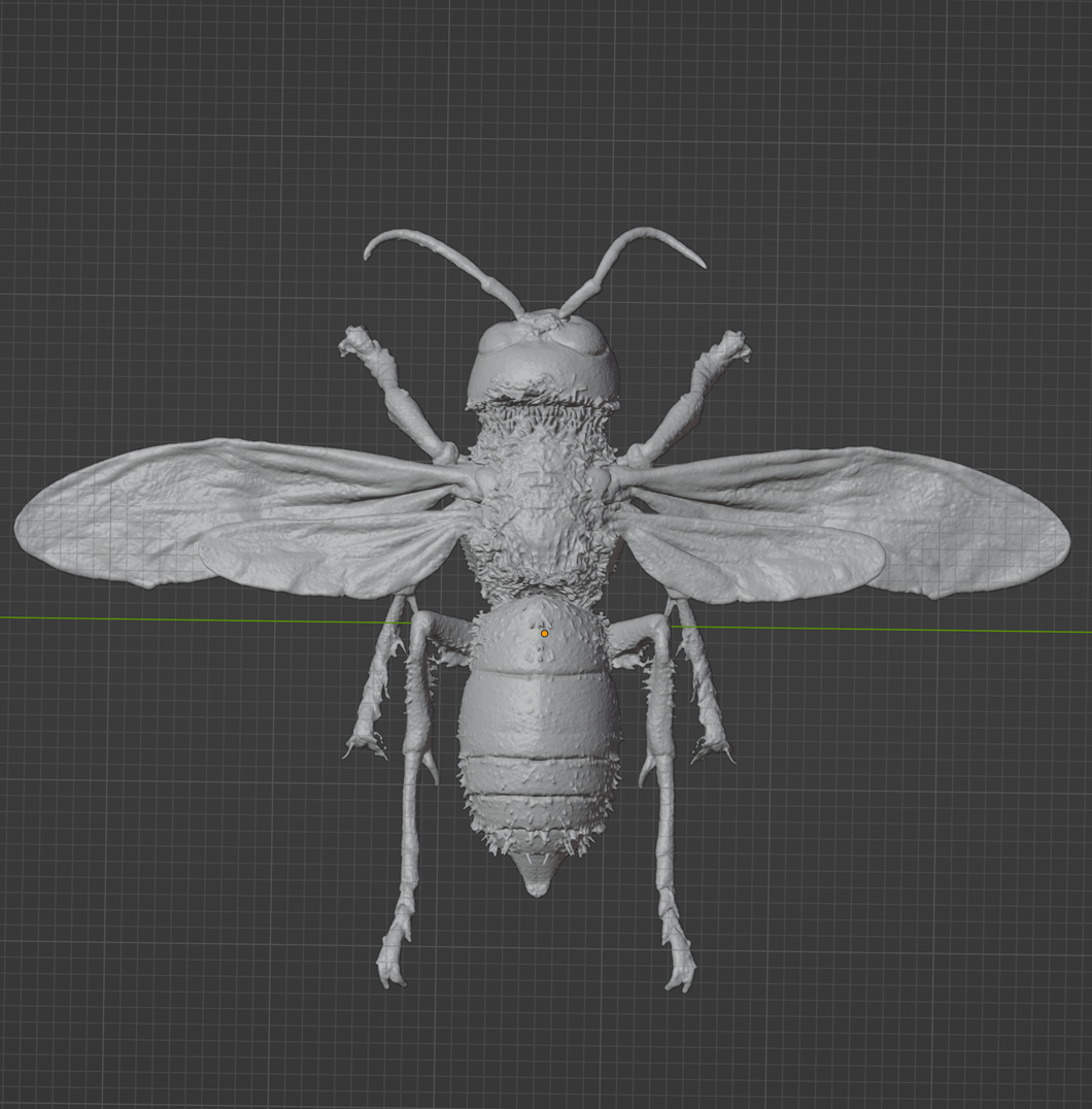 Product from First Density Material - high-quality default