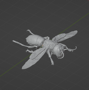 Product from First Density Material - high-quality default