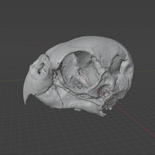 Load image into Gallery viewer, Product from First Density Material - high-quality default