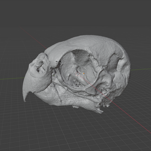 Product from First Density Material - high-quality default