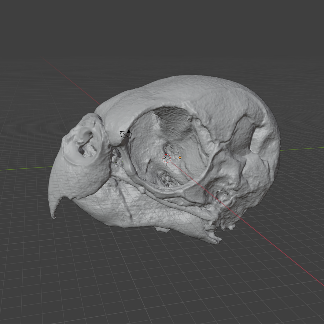 Product from First Density Material - high-quality default