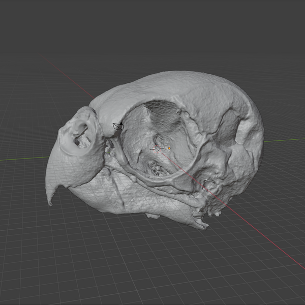 Product from First Density Material - high-quality default