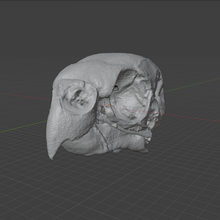 Load image into Gallery viewer, Product from First Density Material - high-quality default