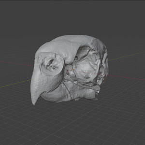 Product from First Density Material - high-quality default