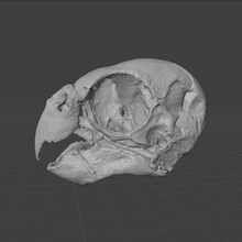 Load image into Gallery viewer, Product from First Density Material - high-quality default