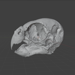 Product from First Density Material - high-quality default