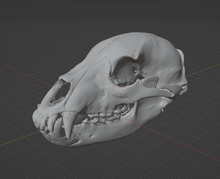 Load image into Gallery viewer, Product from First Density Material - high-quality default