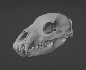Product from First Density Material - high-quality default