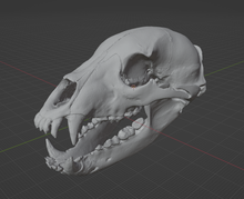 Load image into Gallery viewer, Product from First Density Material - high-quality default