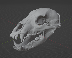 Product from First Density Material - high-quality default