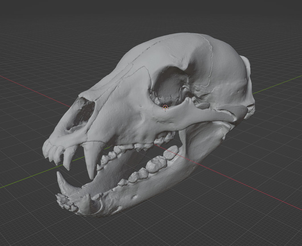 Product from First Density Material - high-quality default