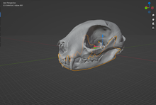 Load image into Gallery viewer, Cat Skull (STL) Non Commercial License