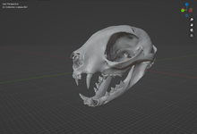 Load image into Gallery viewer, Product from First Density Material - high-quality default