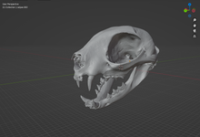 Load image into Gallery viewer, Cat Skull (STL) Non Commercial License