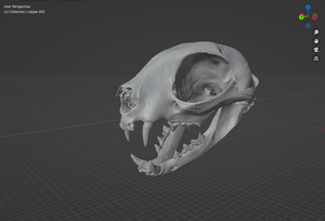 Cat Skull (STL) Non Commercial License