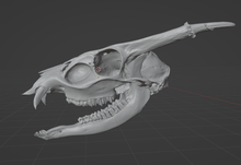 Load image into Gallery viewer, Product from First Density Material - high-quality default
