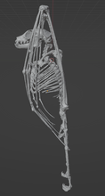 Load image into Gallery viewer, Fruit Bat Whole Skeleton (STL) Commercial License