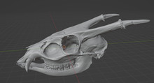 Load image into Gallery viewer, Product from First Density Material - high-quality default