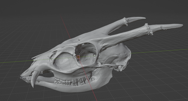 Product from First Density Material - high-quality default