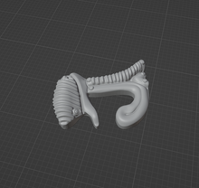 Load image into Gallery viewer, Product from First Density Material - high-quality default
