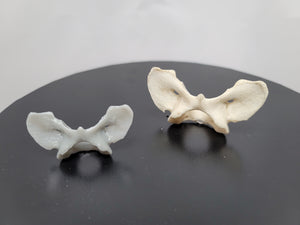 Product from First Density Material - high-quality default
