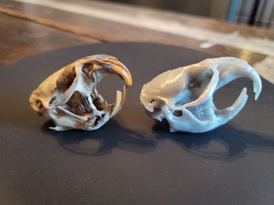 Product from First Density Material - high-quality default