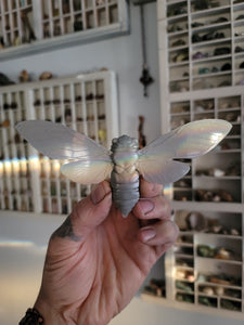 Empress Cicada Wings Spread (STL) Commercial License
