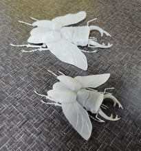 Load image into Gallery viewer, Product from First Density Material - high-quality default