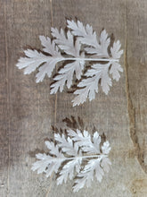 Load image into Gallery viewer, FeverFew Leaf (STL) Commercial License