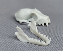 Load image into Gallery viewer, Product from First Density Material - high-quality default