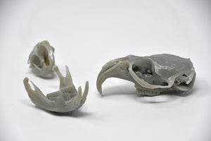 Product from First Density Material - high-quality default