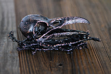 Load image into Gallery viewer, Copper Raven Skull Wall Hang 6 inchs Height