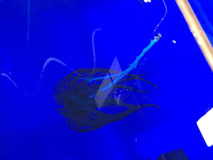 Fast Drying Conductive Paint Formula