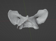 Load image into Gallery viewer, Product from First Density Material - high-quality default