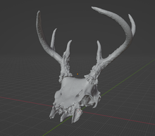 Load image into Gallery viewer, Upper Deer Skull Sculpt (STL file) Commercial License