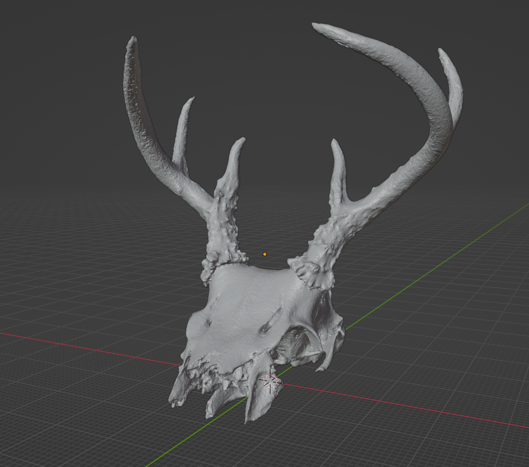 Upper Deer Skull Sculpt (STL file) Commercial License