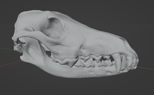 Load image into Gallery viewer, Coyote Skull (STL) Commercial License